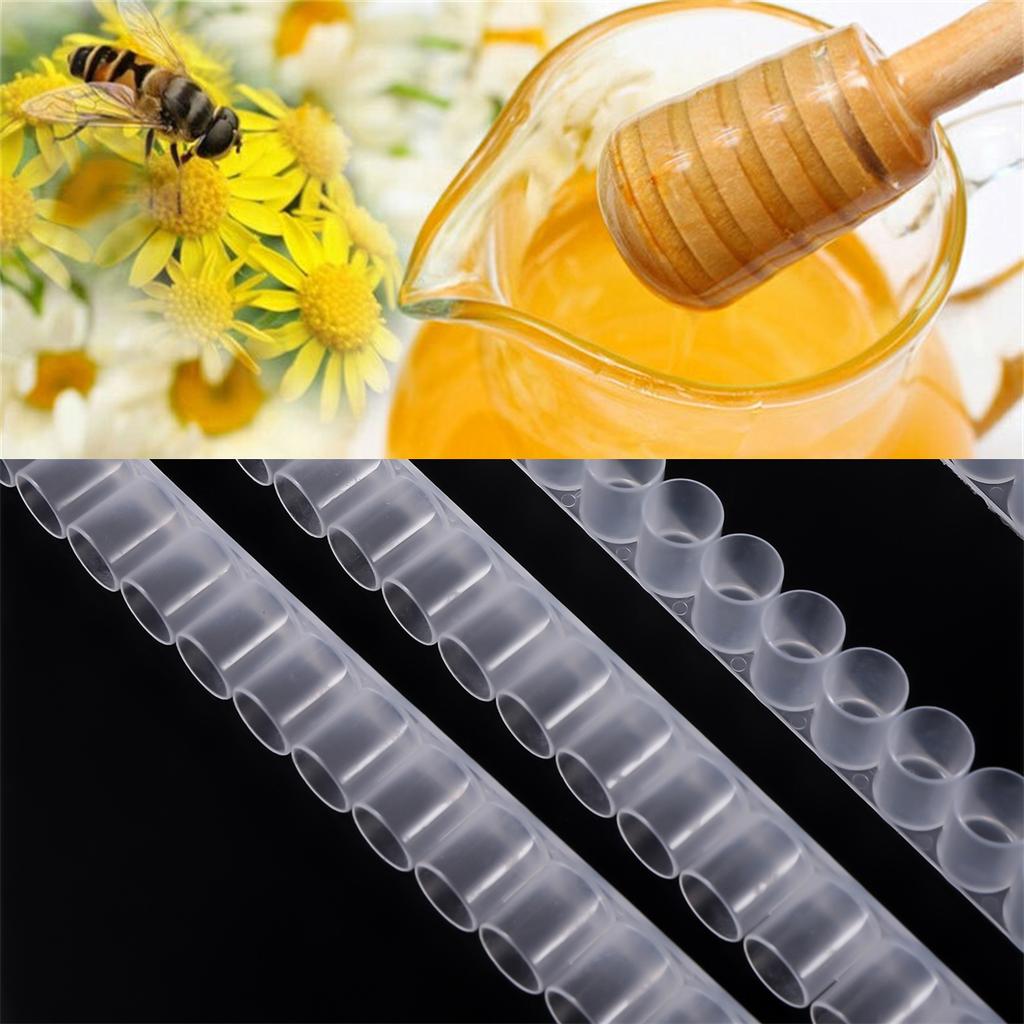Plastic Transparent Beekeeping Single/Double Row Paddle Royal Jelly Strip Collection Queen Bee Breeding Beehive Accessories 5Pcs