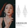 New diamond-encrusted tassel long ear buckle Korean simple design earrings high-end temperament earrings