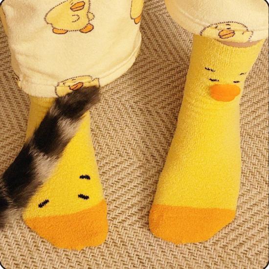 SHINee TAEMIN 2026 TAEMori Cozy Nest POP-UP Store Sleeping Socks