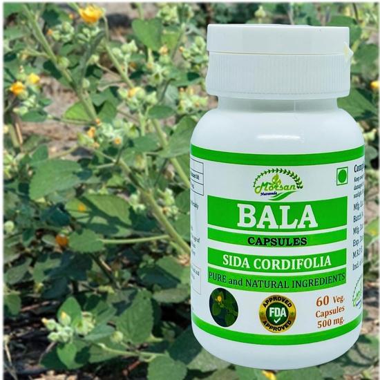 Morsan Nutraveda Bala (Sida Cordifolia) Extract Capsule - 60 Veg. Capsules X 500 Mg100% Herbal & High Potency (1 Pack of 60 Capsules)