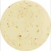 All-Season Tortilla Flannel Blanket with High-Definition Digital Print for Home and Office