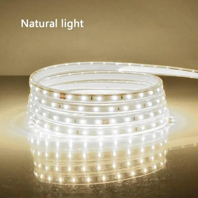 High Quality AC 220V LED Strip Lights 2835SMD 120LEDs/m LED Cabinet Light Flexible Outdoor Lamp Waterproof LED Tape With EU Power Plug
