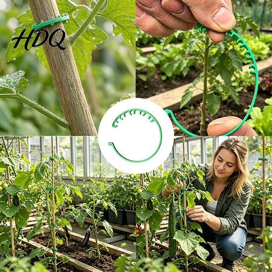 Snap-on Plant Clips Adjustable Fixing Buckles Reusable Clips Plastic Vine Stem Support for Securing Tomatoes Cucumbers Climbing Plants