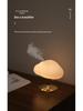 Cloud & Mist Aroma Diffuser with Color-Changing LED Light and Humidifier for Essential Oils