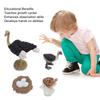 Ostrich Life Cycle Figure PVC Realistic Ostrich Figure Toy Animal Growth Cycle for Children