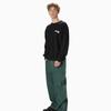 ThIs Is Never That Lion 2010 Crewneck Black