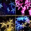 Starfish Solar String Lights – Outdoor Waterproof Decoration for Gardens, Balconies, and Courtyards