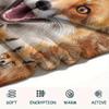 1Pc Fox and Sloth Print Flannel Blanket, High quality Comfortable for All Seasons, Home Decor, Warmth and Comfort, Perfect for Gifts