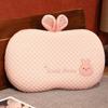 Cute Animal Shaped Cooling Memory Foam Pillow Ice Silk Surface Neck Support Pillow Removable Washable Cover For Bed Sofa Office