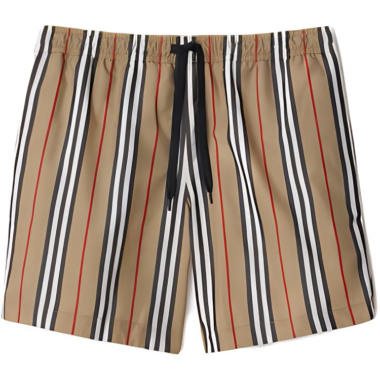 Burberry Striped Check Print Swim Shorts 80843201