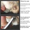 Pet Nail Clipper Scissors Claw Cutter Clipper For Animals Dog Clipper Cat Cutter Scissors For Cats Nail Clipper For Dogs