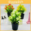 Orchid Small Plant Plastics Potted Plant Window Dressing For Decor Hotel