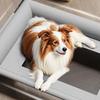 Pet Furniture Mesh Elevated Dog Beds Breathable Removable Raised Dog Bed with Pillow Outside Dog Bed Cat Patio Sunbathing