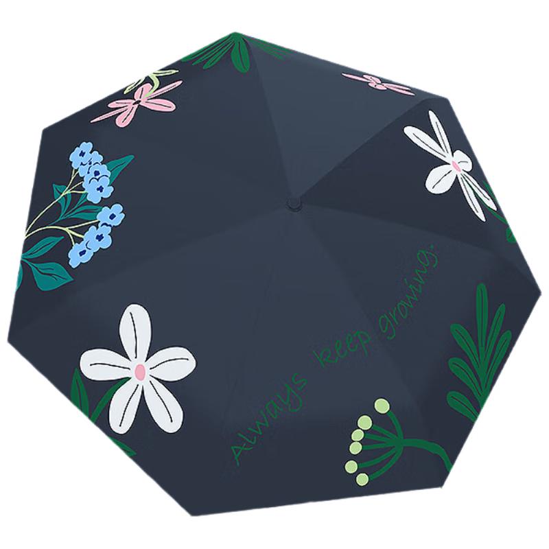 Paradise Umbrella 5-Fold Pocket Capsule Umbrella (2-Pack)