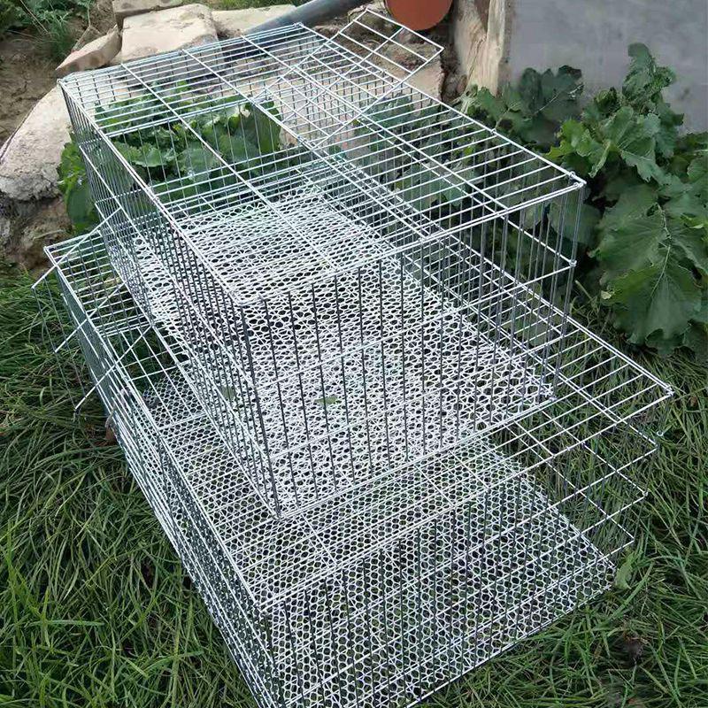 Large Multi-Purpose Animal Cage: Rabbit, Pigeon, Chicken, Goose - Wire Mesh Panel, Easy Assembly, Transport Ready, Mother-Child Design.
