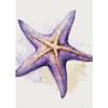 Different Styles Of Cute Starfish Sea Wall Art Canvas Painting Cartoon Colors Poster Wall Pictures Home Decor For Living Room