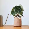 Creative Retro Rattan-Style Cement Flower Pot, Straw-Woven Hanging Basket with Handle for Plants and Flowers