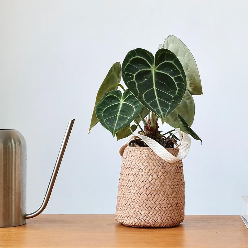 Creative Retro Rattan-Style Cement Flower Pot, Straw-Woven Hanging Basket with Handle for Plants and Flowers