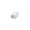 Creative Kitty Dip Dish Crystal Glass Tomato Salad Soy Sauce Vinegar Dry Dish Cartoon Home Snack Small Plate Chopsticks Holder