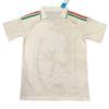 2627 World Cup Wales Away Short Sleeve Jersey, Fan Version (S-4XL)