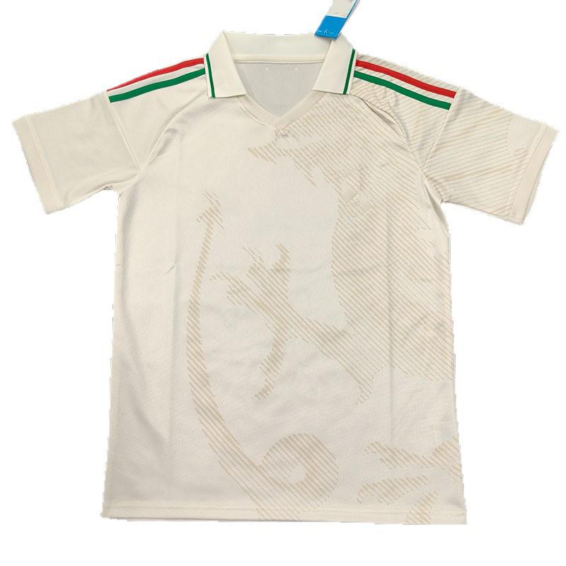 2627 World Cup Wales Away Short Sleeve Jersey, Fan Version (S-4XL)