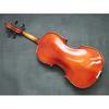 Carlo Giordano Viola Outfit VL-1 15.5 inch