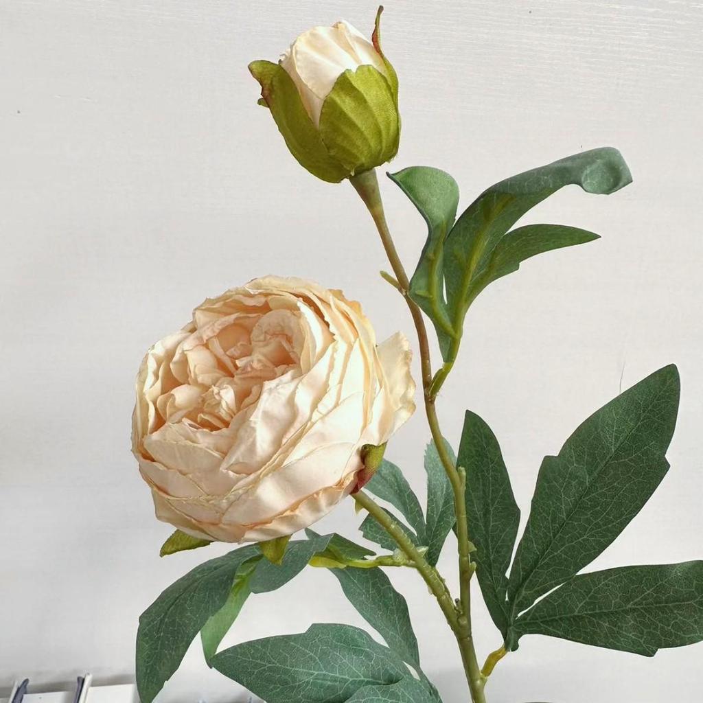 Artificial Peony Flower Head with Scorched Edge - Rich Peony Bouquet for Living Room Decoration