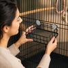 Stainless Bird Stand with Mesh for Parakeets Cockatiels