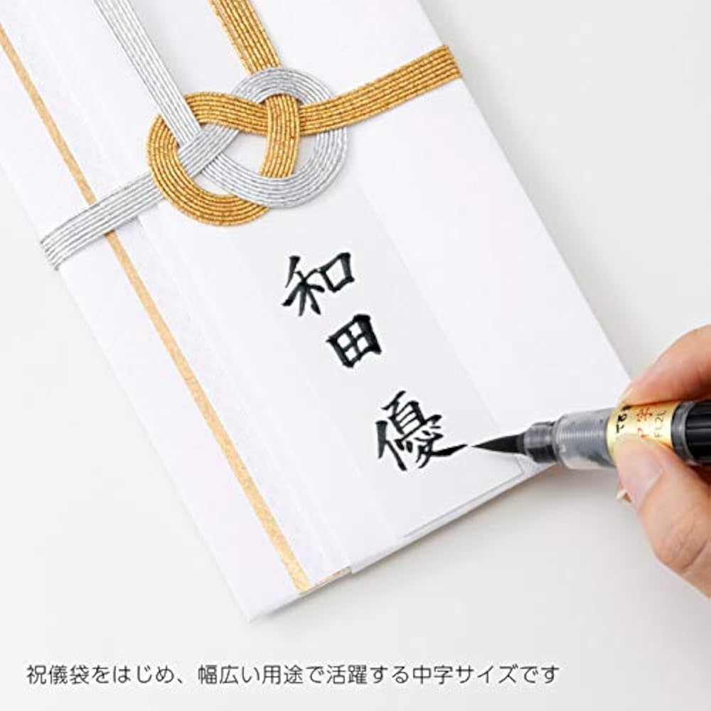 Pentel Brush Pen Medium Cartridges Set AMZ-XFL2L-R