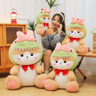 New Transformation Dinosaur Cat Doll Cute Dinosaur Plush Toy Doll Valentine's Day Birthday Gift Throw Pillow