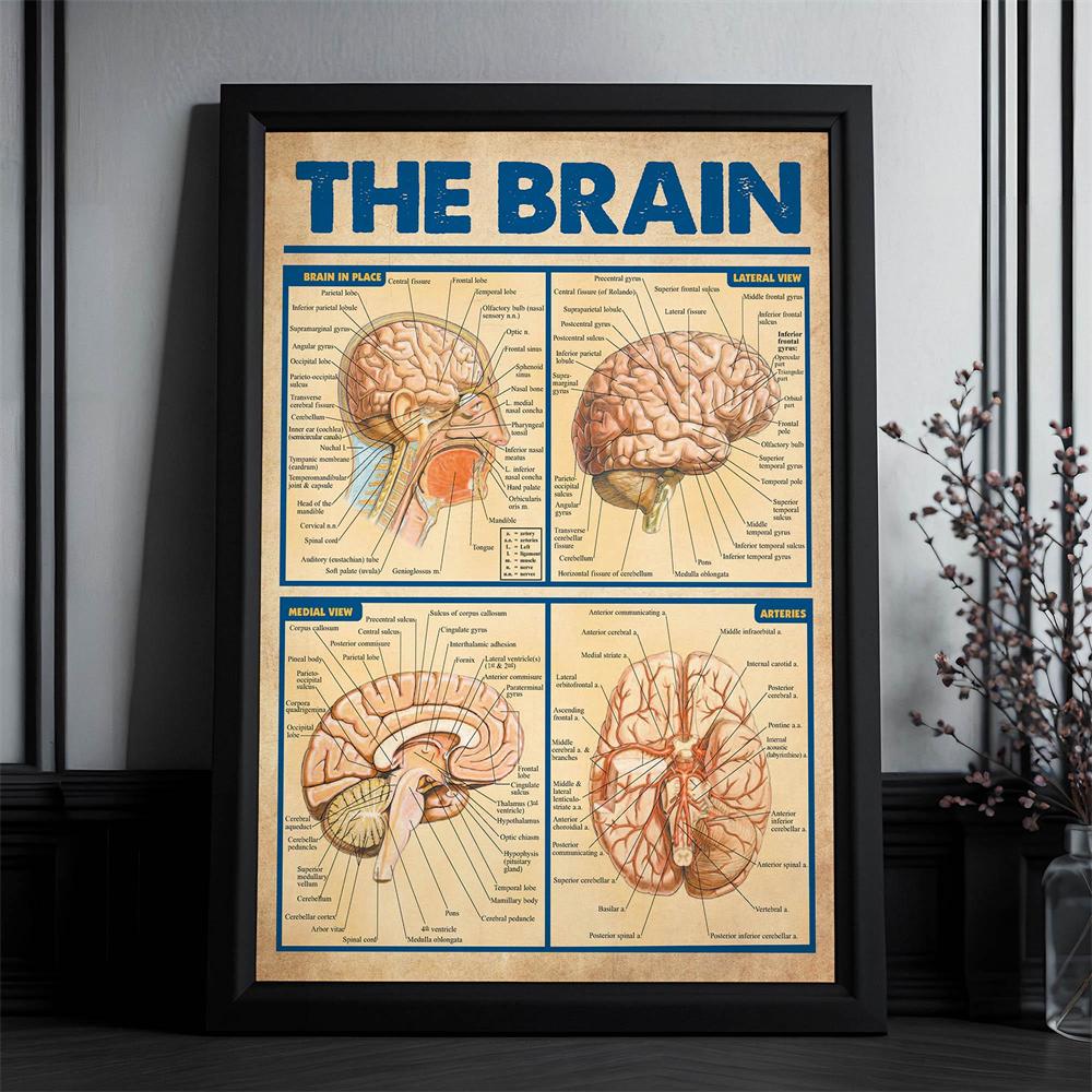 Trauma Brain Processing Poster Brain Anatomy Print Mental Health Wall Art Nervous System Canvas Painting Brain Anatomy Poster