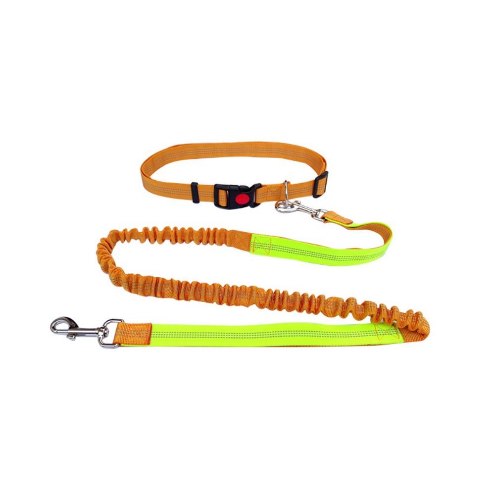 Double Stretch Running Dog Leash Reflective Dog Traction Rope Pet Walking Leash  for Dogs Cats