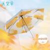 Accesorii – Umbrele