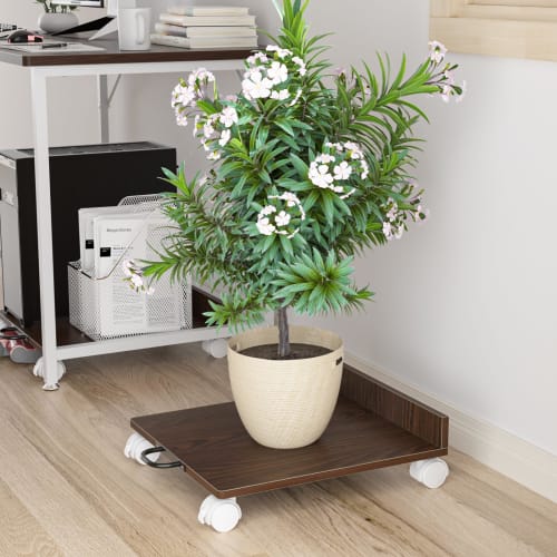 DEWEL Screw-in Casters, m8/m6, with Stoppers, 50mm Diameter, Replacement, Screw-in Type, 360-Degree Rotation, Quiet, Set of 4 (2 without Stoppers, 2 w