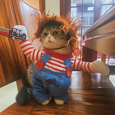 Kočka Funny Cosplay Kostým Pro Malé Střední Psy Kočky Halloween Party Novinka Štěně Kitty Oblečení Oblečení Chihuahua Pet