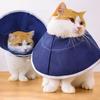 Perros – Suministros de salud