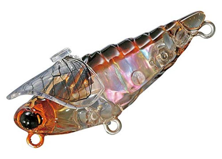 Smith Large Cicada Shell Ghost Cicada Ltd. #11