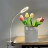 5X Magnification Loupe Magnifier Table Light Adjustable Levels Clip on Desk Lamp  Beauty Salon
