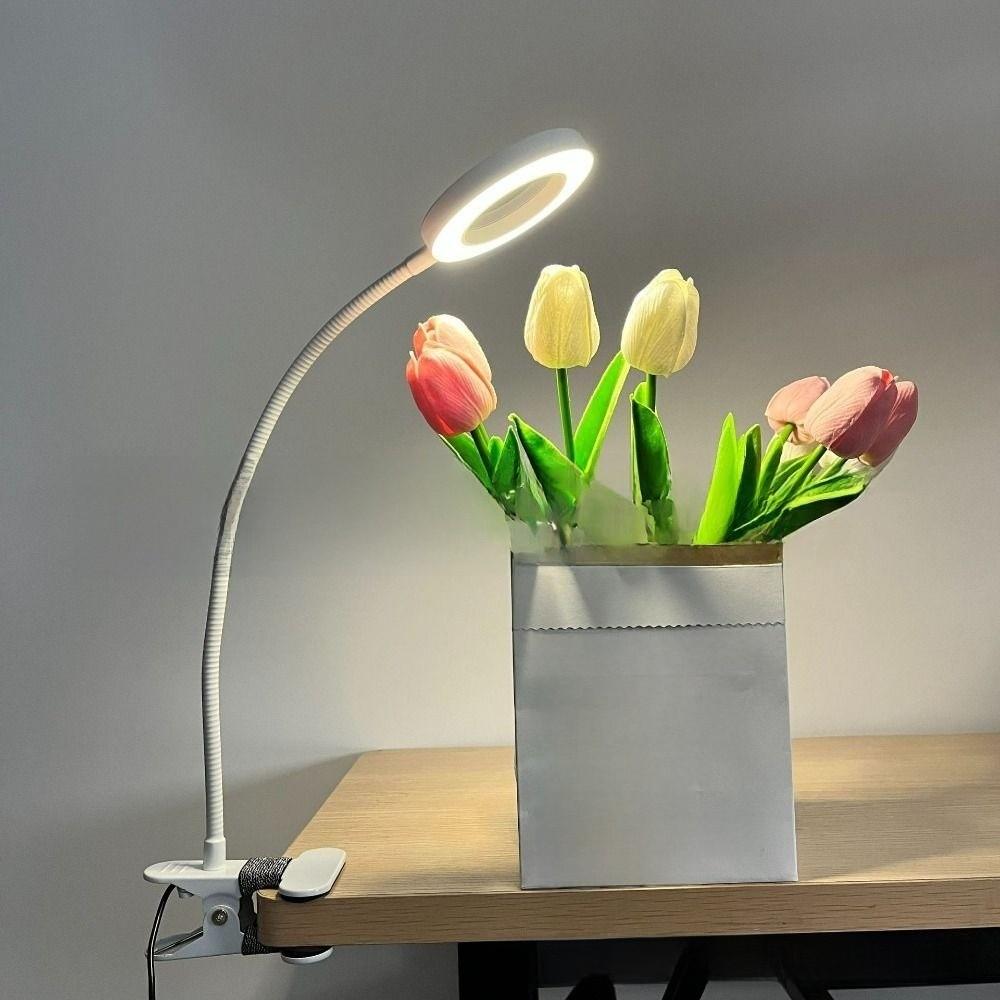 5X Magnification Loupe Magnifier Table Light Adjustable Levels Clip on Desk Lamp  Beauty Salon