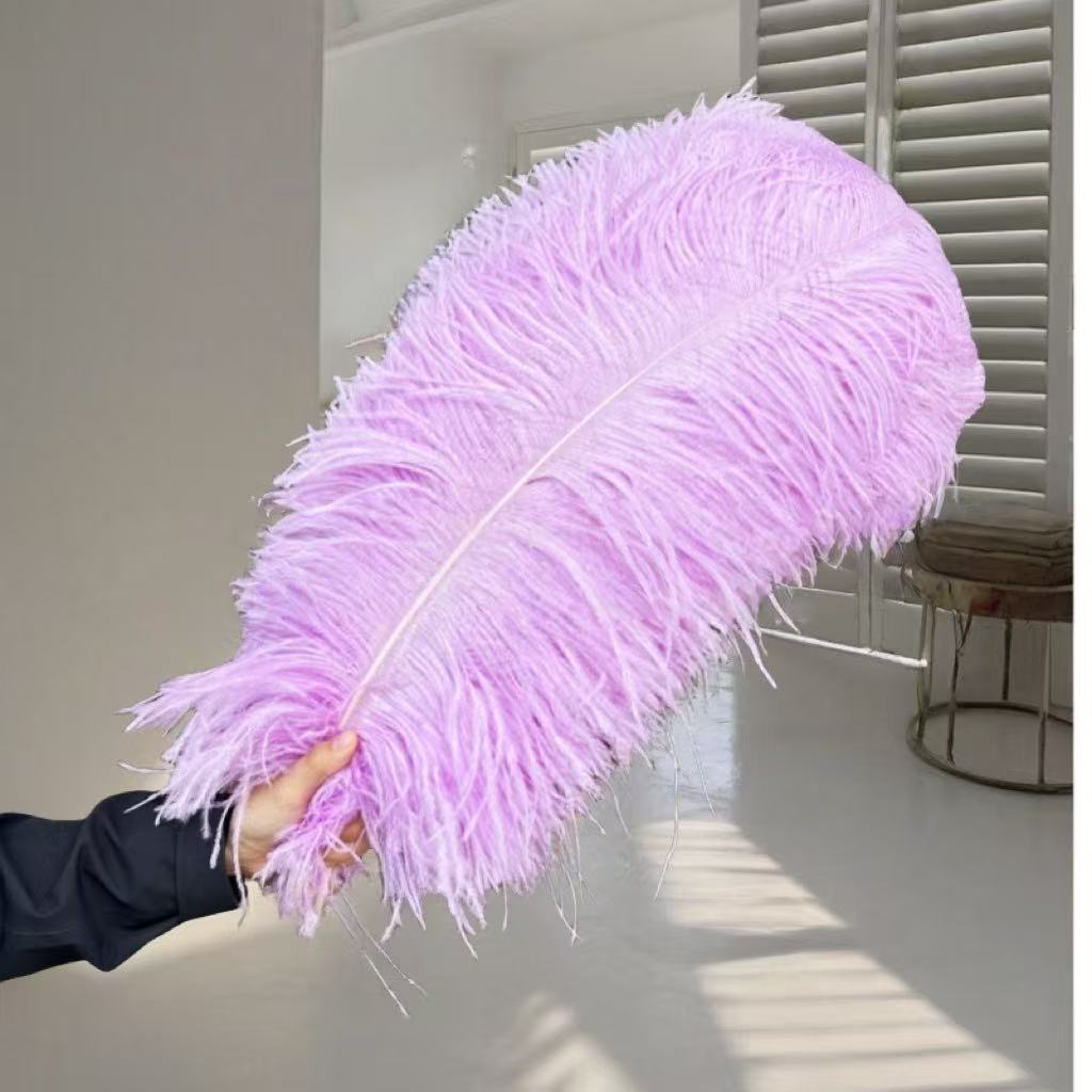 1pcs Ostrich Hair 65-70Cm Photo Feather Wall Wedding Road Guide Decorative Props Colored Feathers