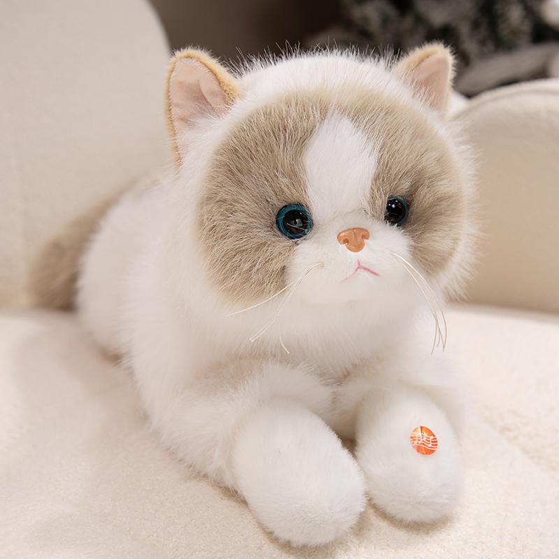 5060Cm Hoge Kwaliteit Simulatie Lolita Slabbetje Kat Pluche Pop Kussen Lang Harig Lappenpop Kat Pluche Speelgoed Huisdecoratie Cadeau Voor Kinderen 50cm naked cat