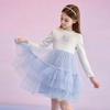 Disney Elsa Princess Mesh Dress for Girls