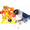 Jucărie de hrană pentru papagali, rotire colorată, moara de vânt, anti-mușcătură, ros, antrenament, cutie de mâncare, distracție, stresul păsărilor