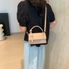Simple and Fashionable Sliver Bag Fashionable Commuting Small Square Bag for Women's Summer New Fashionable Niche Design Shoulder Bag