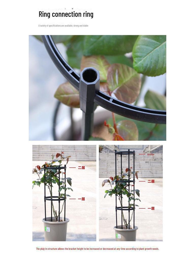 Black European Garden Plant Climbing Rack