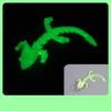 Fidget Toy Adjustable Body Joints Pendant Charms Articulated Dragon Lizard Toy  Kids Toy