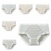 3Pcs Mid Waist Stripe Letter Briefs Ultra-thin Underwear for Women Mesh Seamless Panties  Gifts