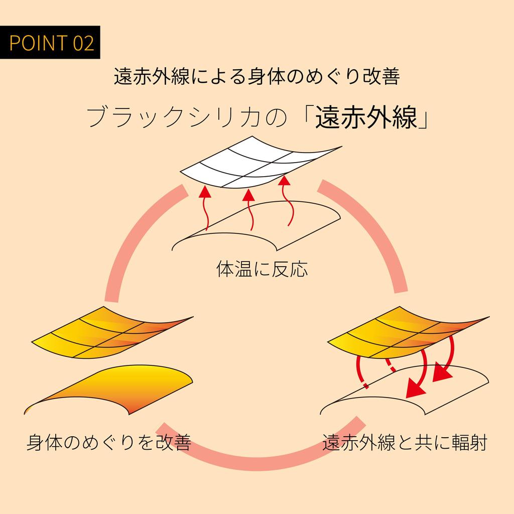 Kenmaru BS Ganbanyoku Genki Black Silica Processing T-Shirt, (Black/LL), 5728-C-A