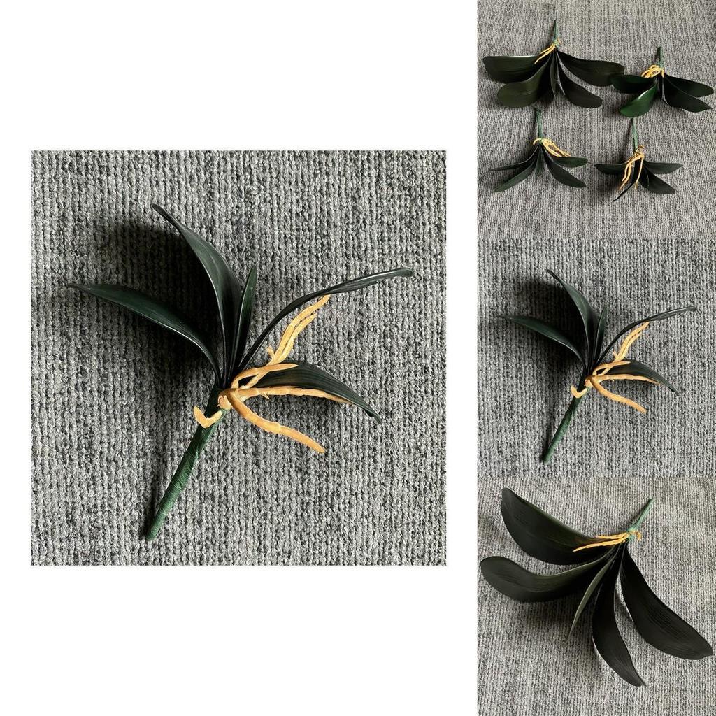 Artificial Eva Phalaenopsis Orchid Leaf For Flower Arrangement And Decor