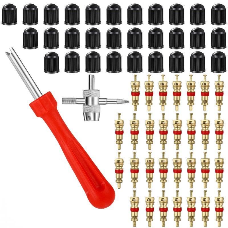 Electric Car Tire Valve Core Wrench Set: Four-in-One Repair & Installation Tool